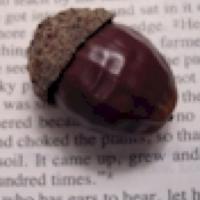 Python libraries for Bible data